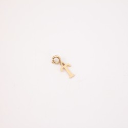 CHARM INICIAL T /ACERO...