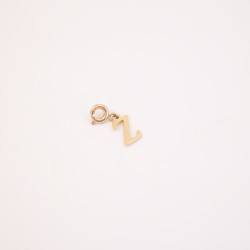 CHARM INICIAL Z