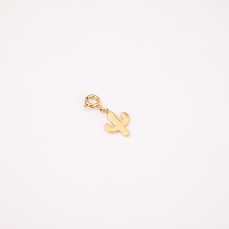 CHARM CACTUS /ACERO INOXIDABLE
